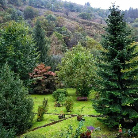 La Punvieja * Los Tojos