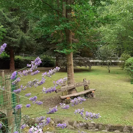 La Punvieja 여관 *