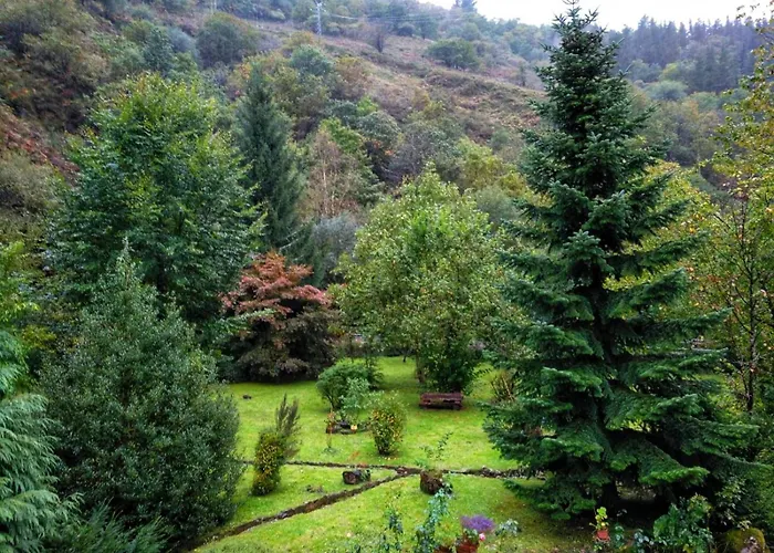 La Punvieja * Los Tojos